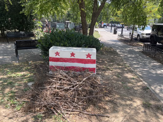 S Street Dog Park photo 1